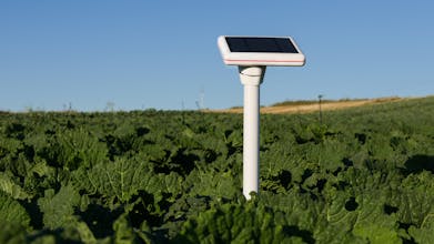 Agroop gallery image