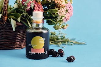 BRIGHTLAND Vinegars gallery image