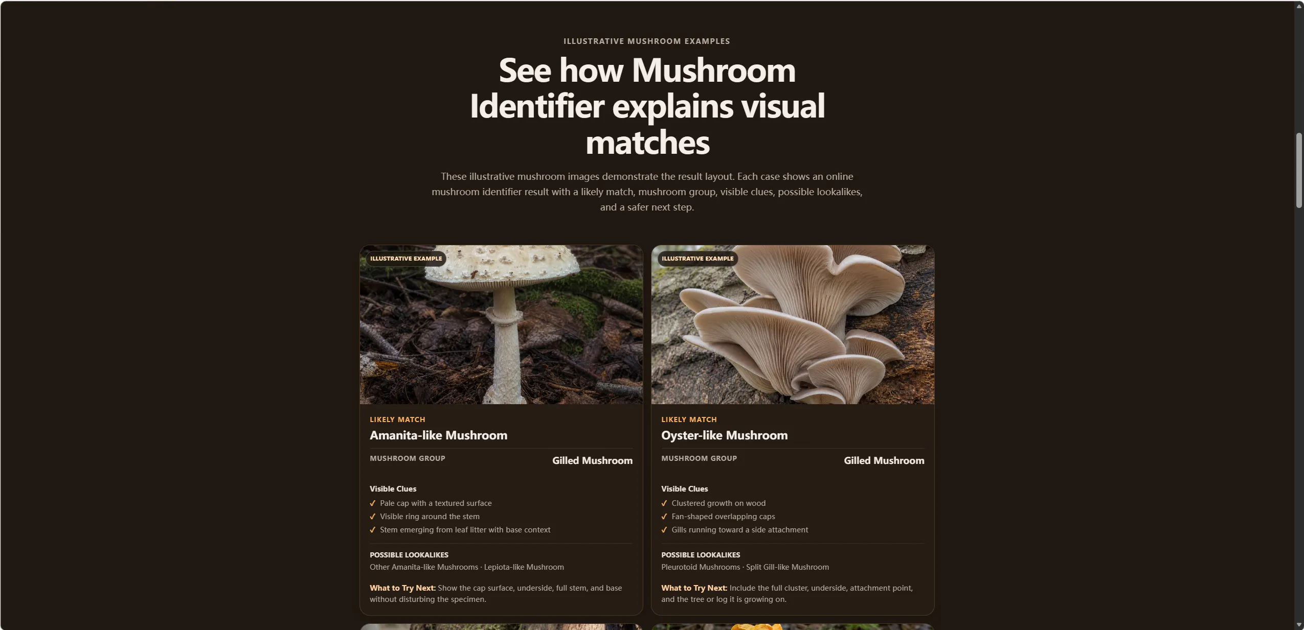 Mushroom Identifier gallery image