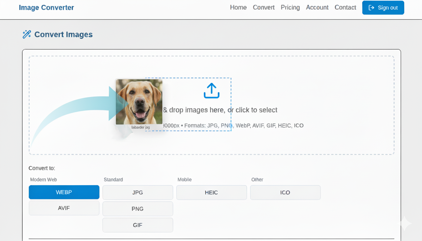 RaimonVibe Image Converter