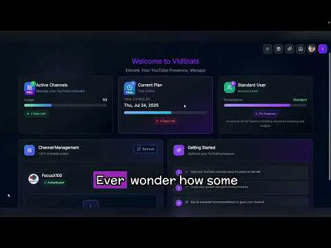 VidStats gallery image