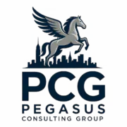 PEGASUS CONSULTING GROUP INC
