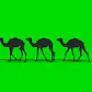 camelcamelcamel.com