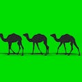 camelcamelcamel.com