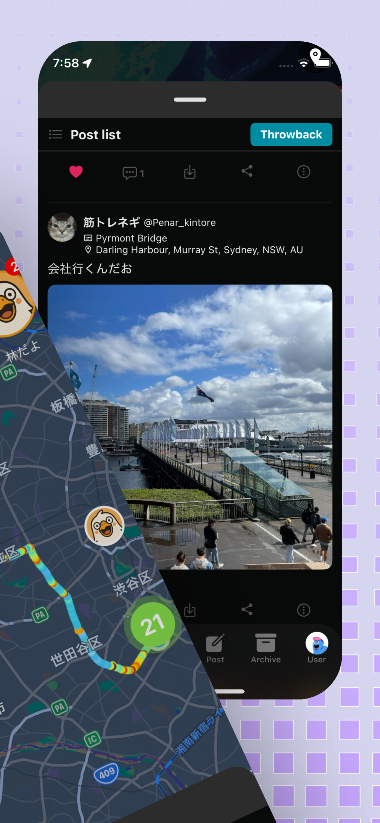 Wander gallery image