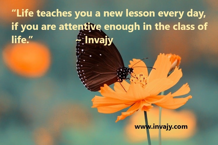 Self Improvement Blog