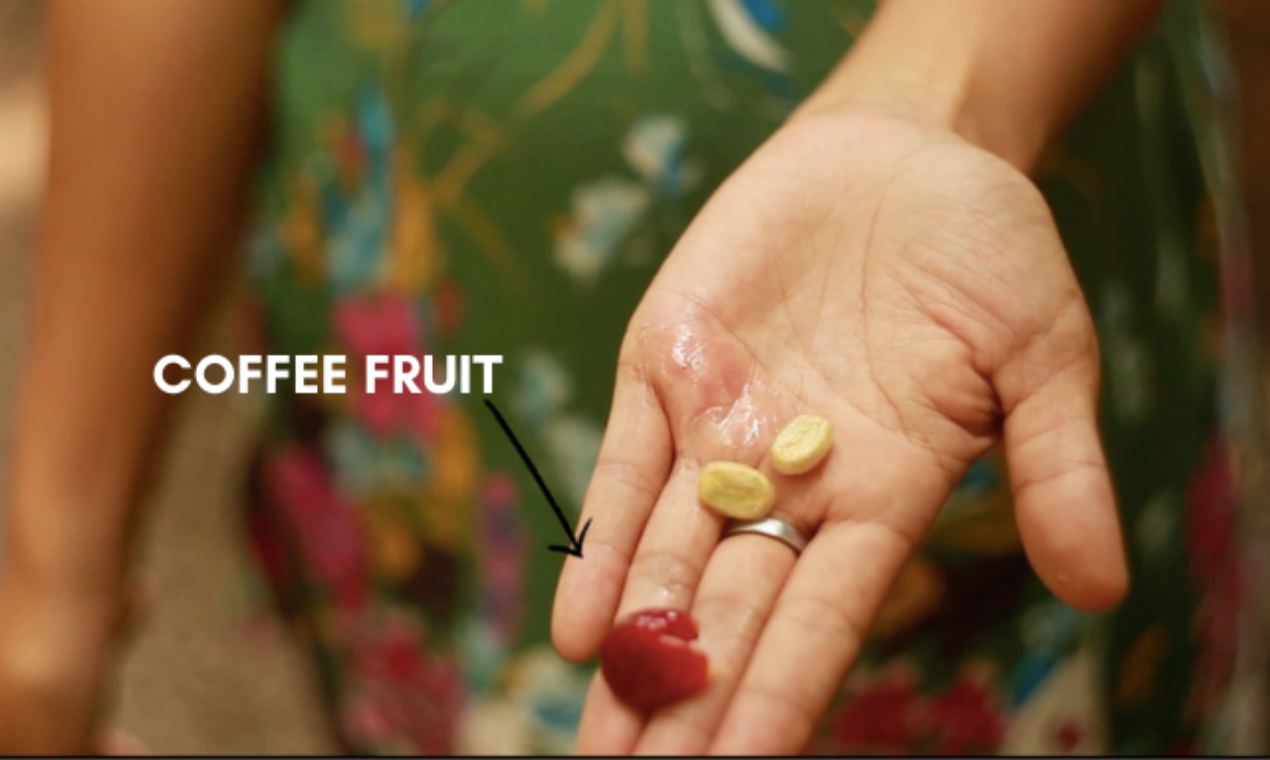 Coffee Fruit Bar gallery image