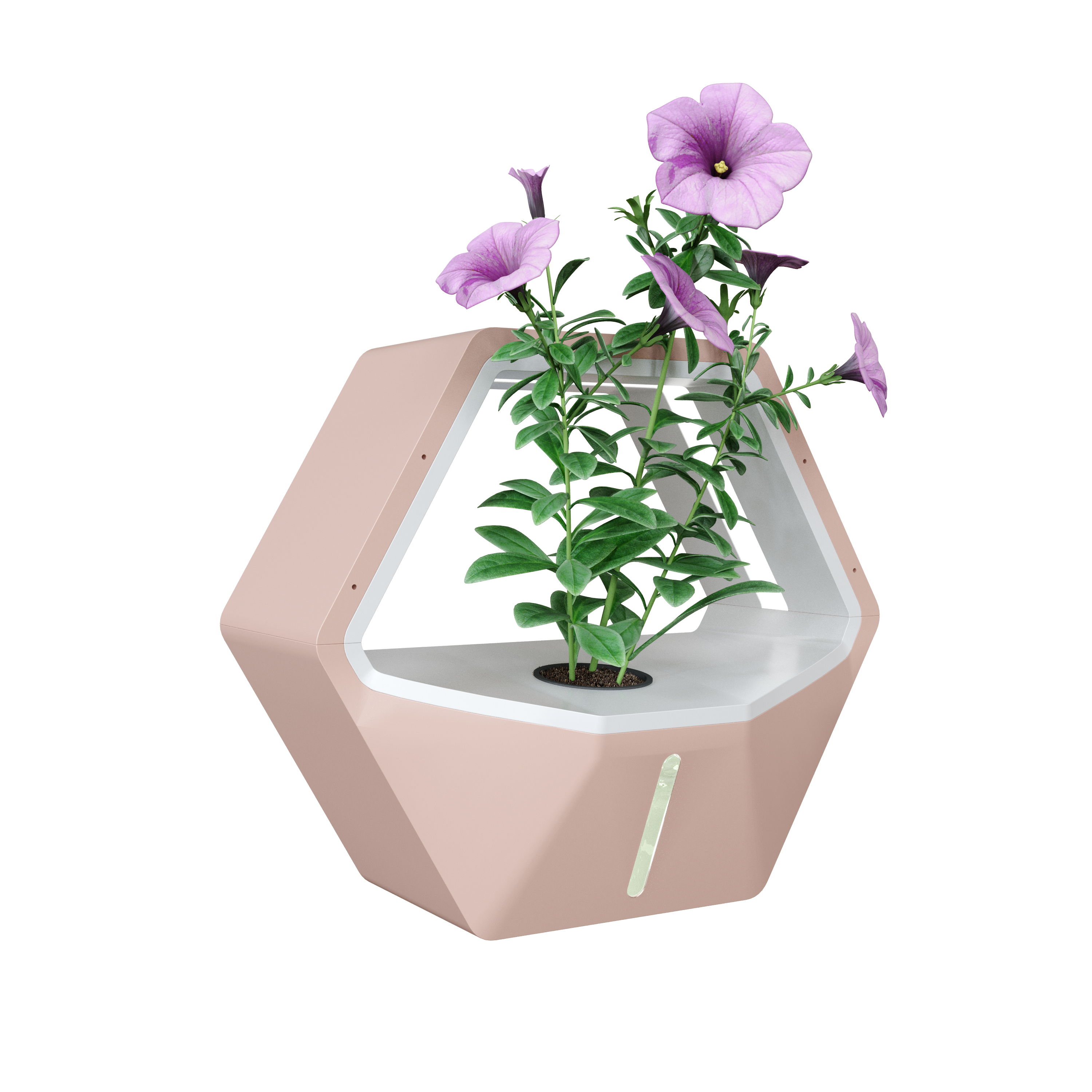 Bee Leaf Planter gallery image