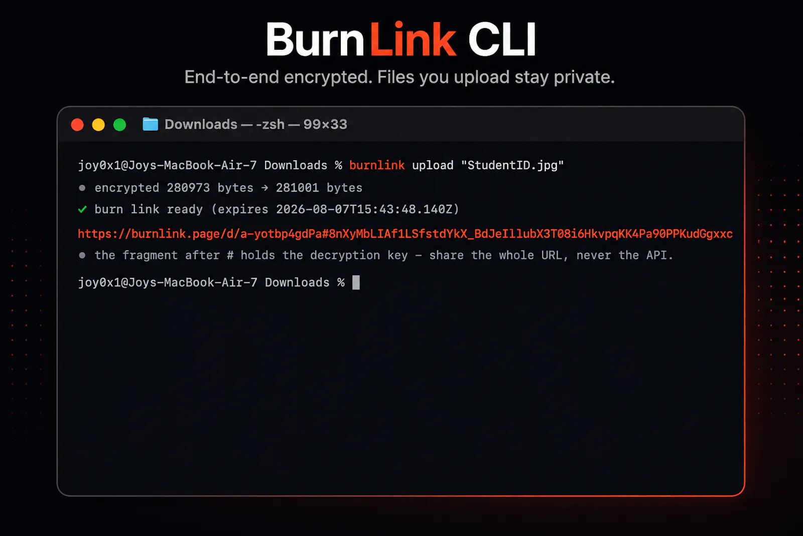 BurnLink CLI screenshot 3