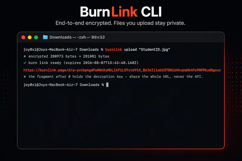 BurnLink CLI screenshot 3