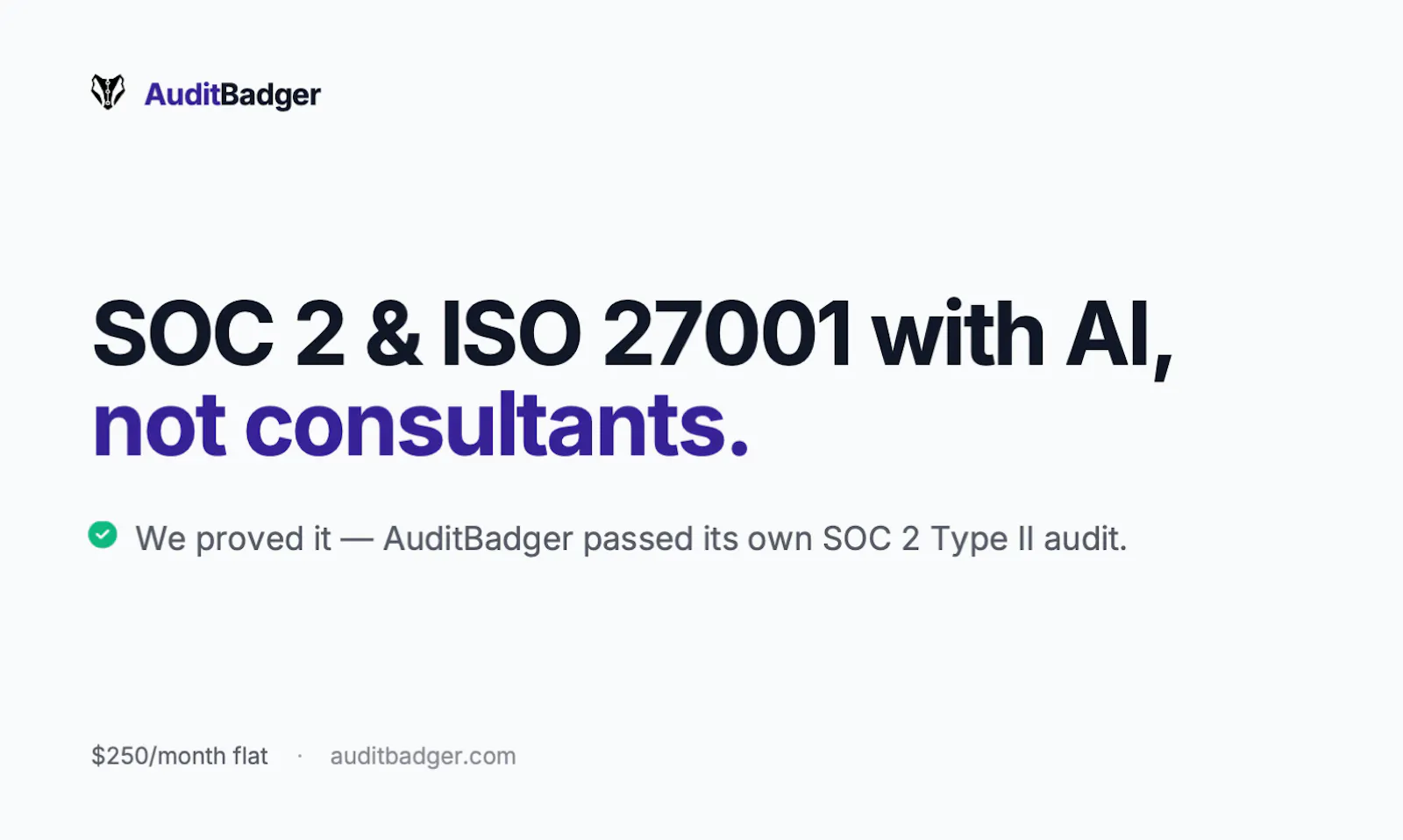 AuditBadger screenshot 2