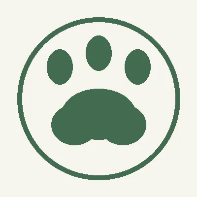 AION 2 Pets
