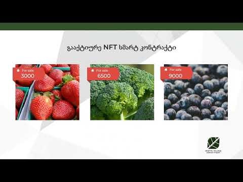 Digital Village gallery image