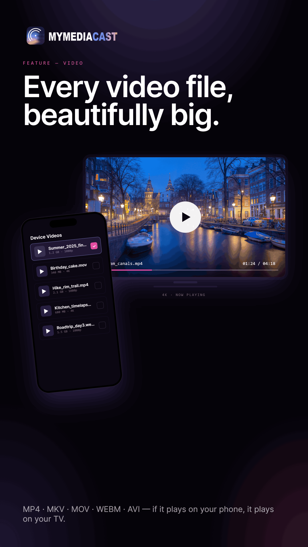 MyMediaCast gallery image