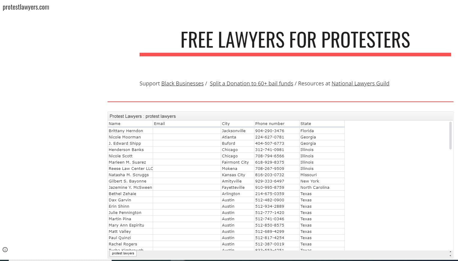 Protest Lawyers gallery image