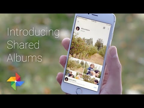 Shared Albums by Google Photos gallery image