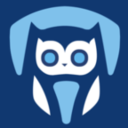 Essay Platform Writing Service