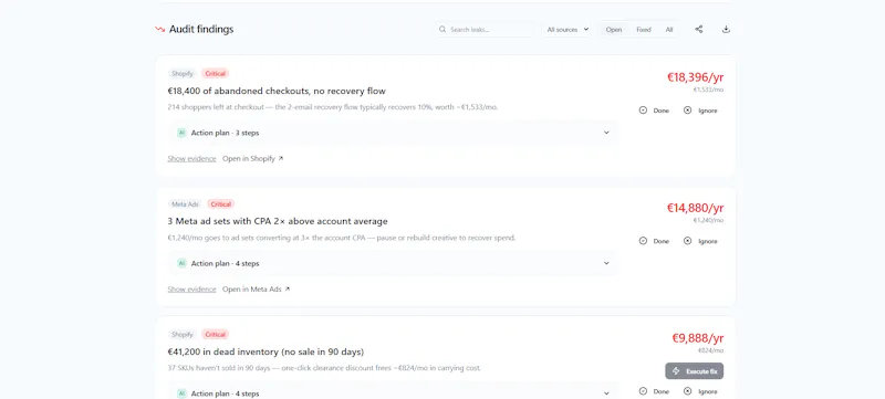 Revenue Leak AI screenshot 1
