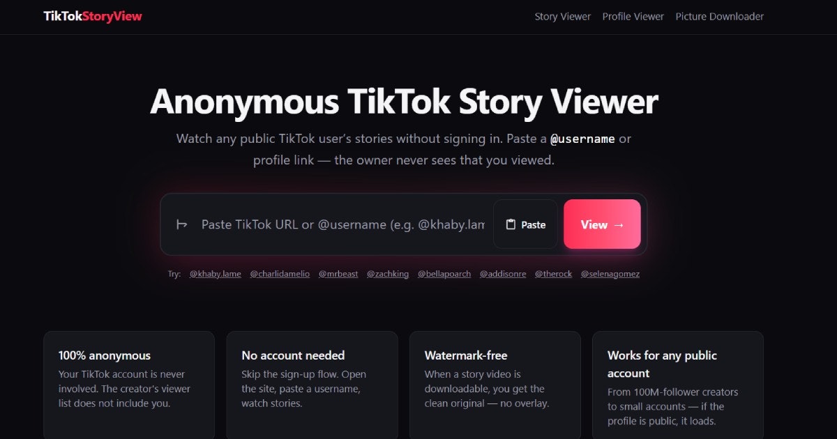 TikTokStoryView gallery image