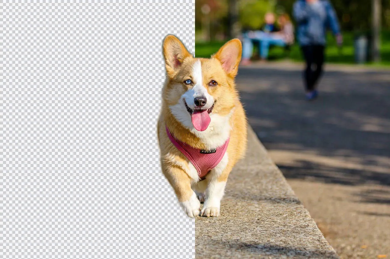 fileconv.online/remove-bg gallery image
