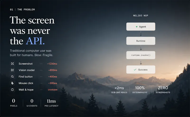 Nelieo NSP screenshot 2