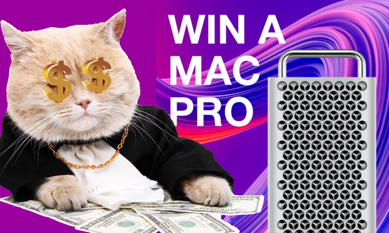 Securing WordPress with HTTPS Course gallery image