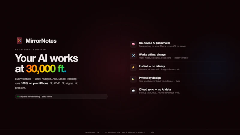 MirrorNotes screenshot 2