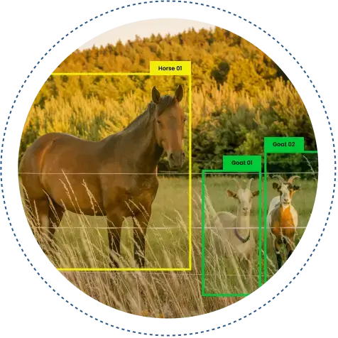 Animal Recognition AI logo