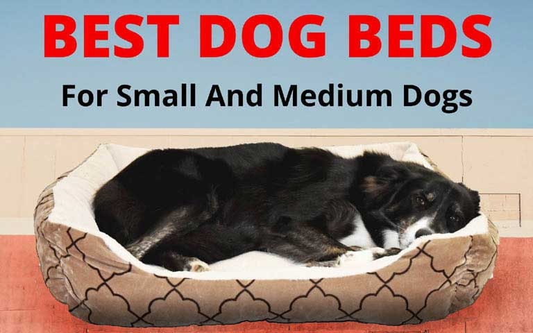 Best Baby Diaper in India complete guide