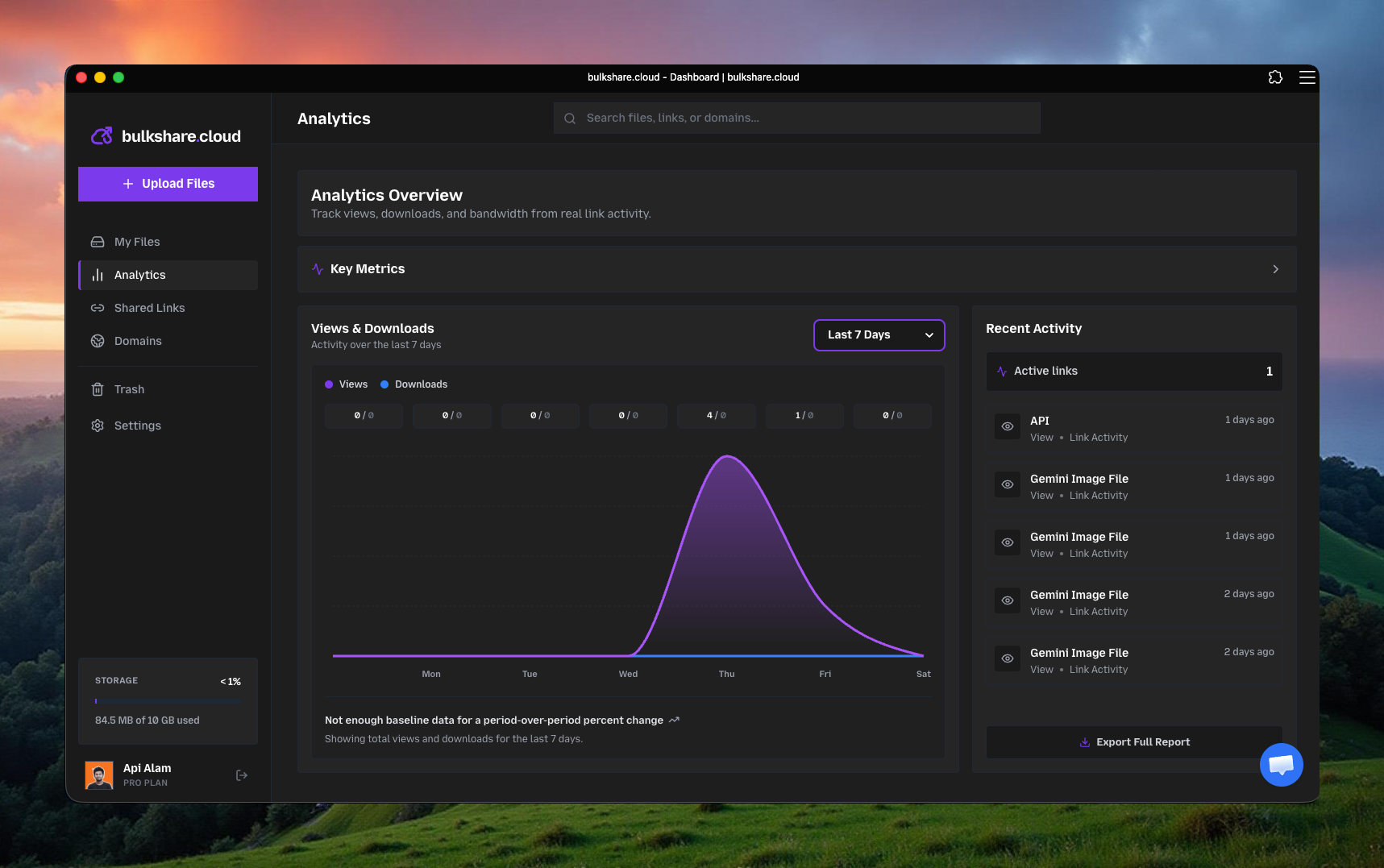 bulkshare.cloud - Screenshot 2 showing product features and functionality