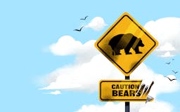 Are we in a bear market? media 1