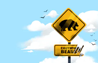 Are we in a bear market? gallery image