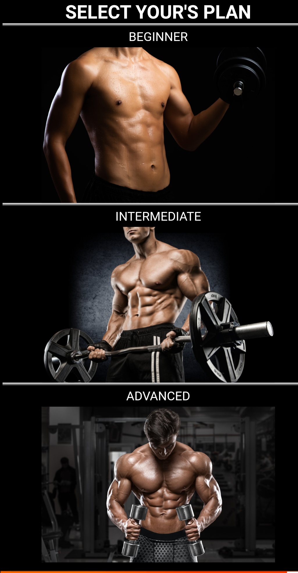 Profesional de entrenamiento Pro - Plan de entrenamiento con un conjunto de ejercicios para cada grupo muscular. media 3