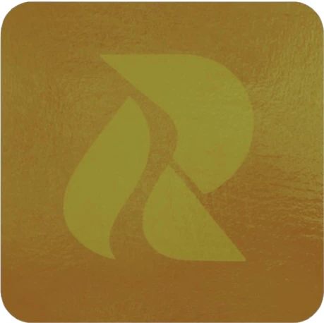 Rejn 2.0 logo
