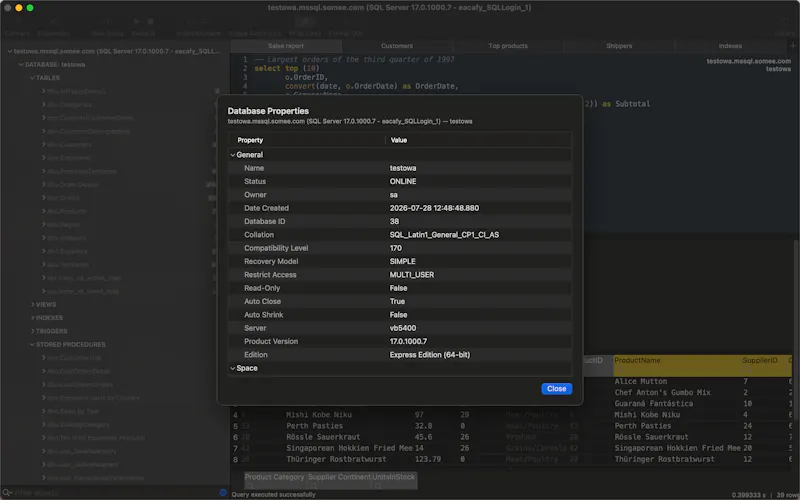 Native SQL Server Manager screenshot 6