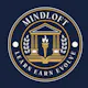 MindLoft MVP launch