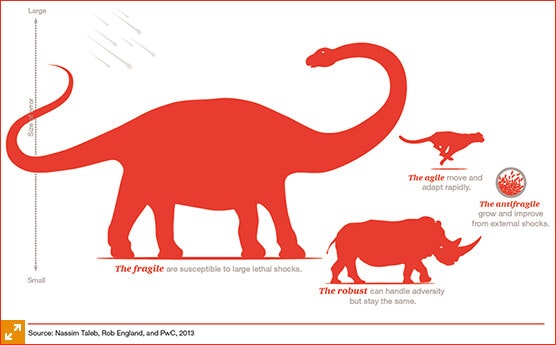 Antifragile: Things That Gain from Disorder gallery image