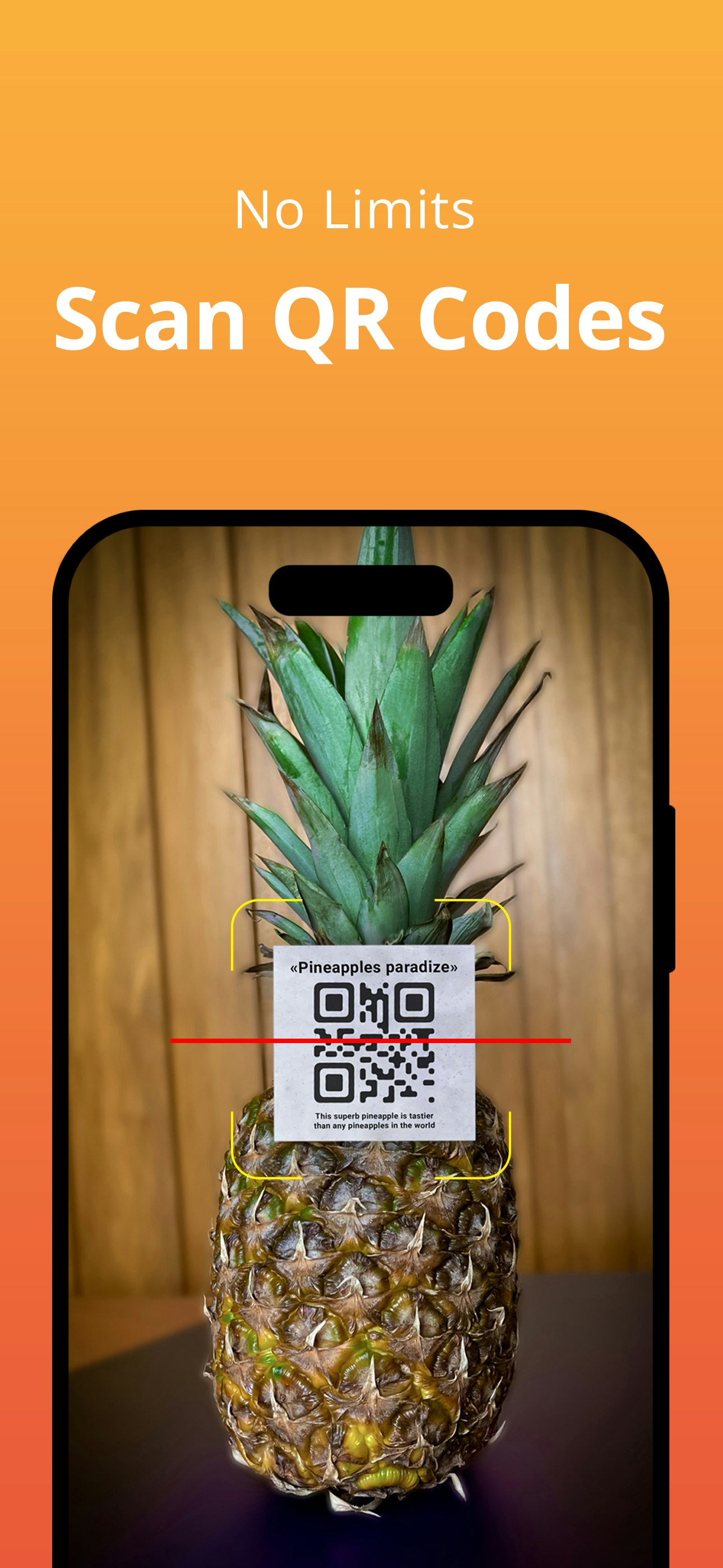 QR okuyucu: kolay media 1