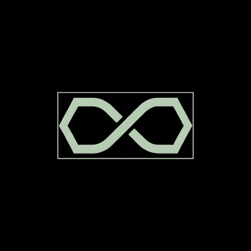 noLimit Foundation logo