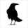 Crow