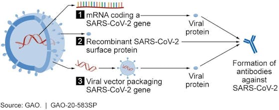 COVID-19 Vaccine News gallery image