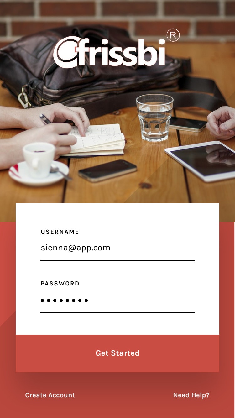 Frissbi gallery image