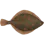 Plaiceholder