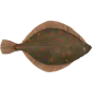 Plaiceholder