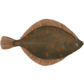 Plaiceholder
