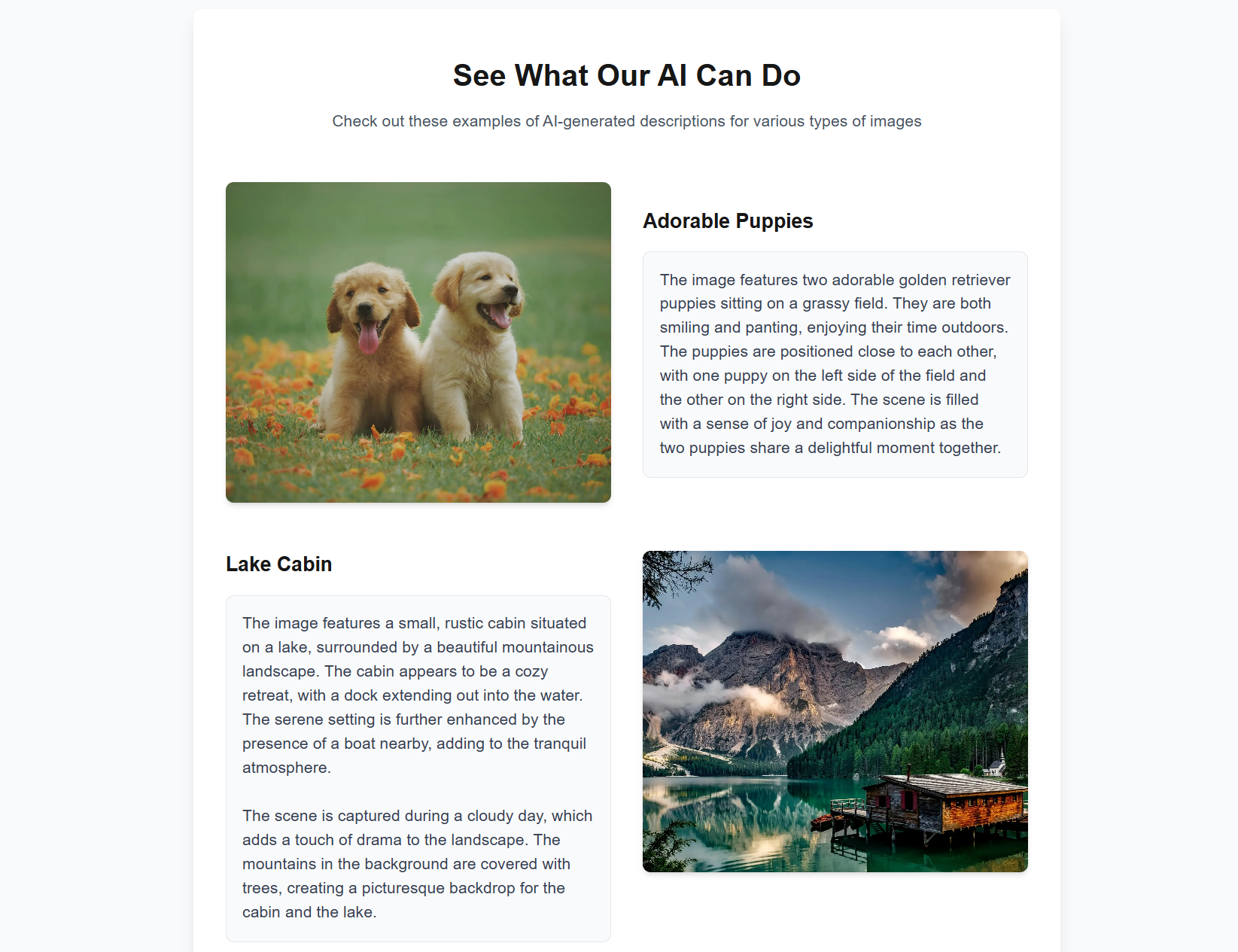 AI Image Describer gallery image