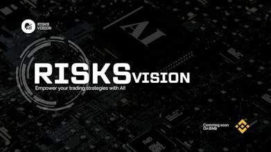 Risks Vision gallery image