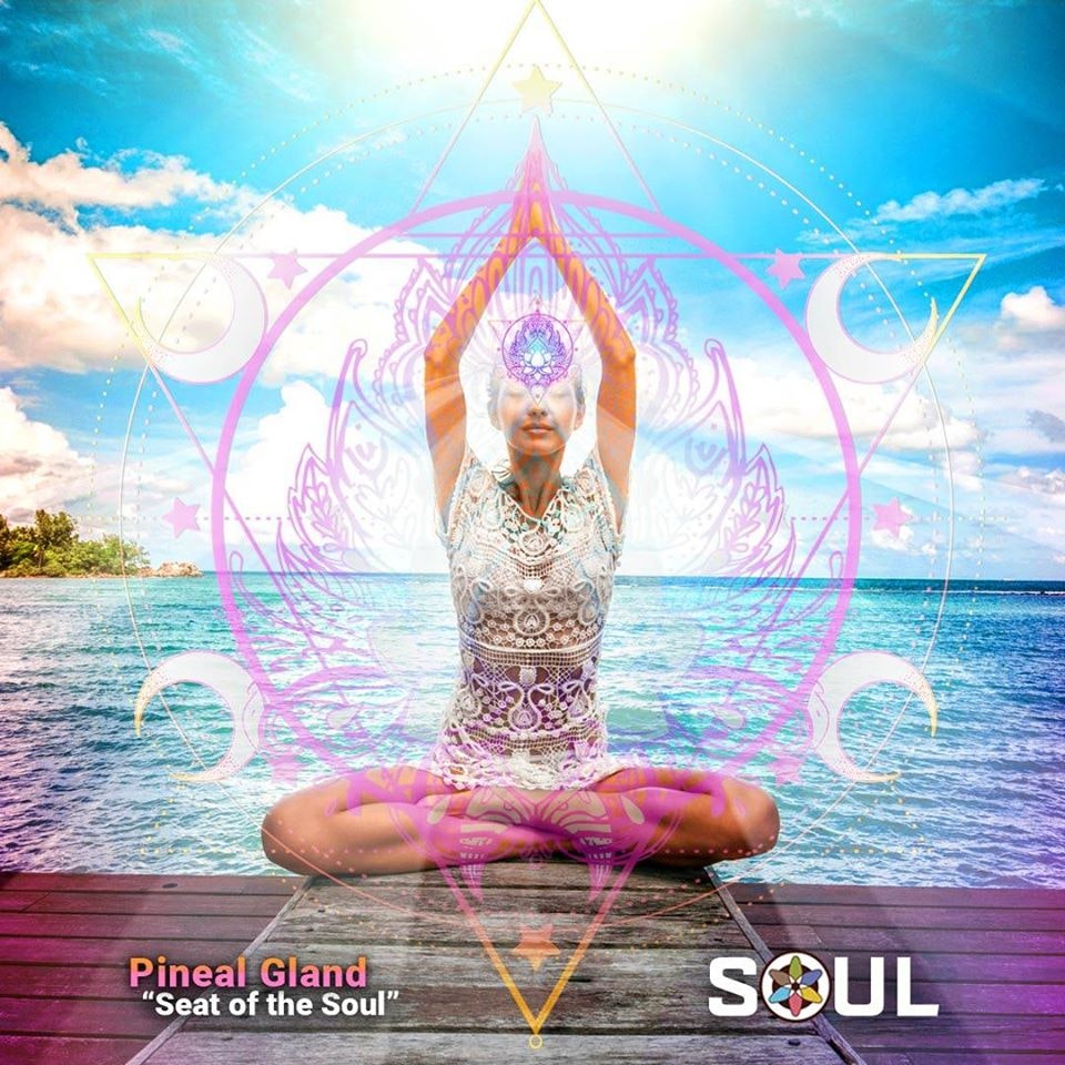 Decalcify Pineal Gland - Medicinal-Foods