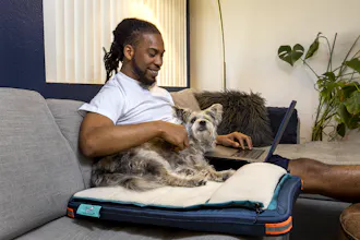 The RuffRest® Ultimate Dog Bed gallery image