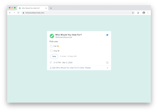 Who Would You Vote For? gallery image
